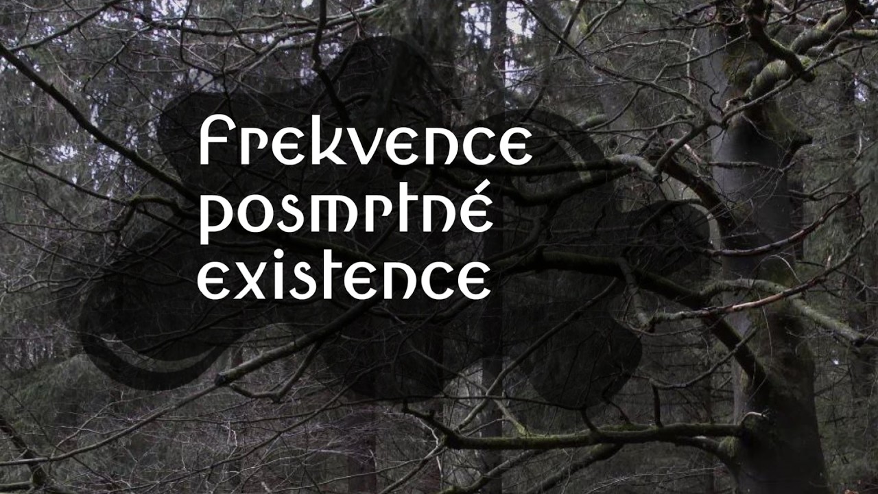 Sedm frekvencí vědomí dle E.Cayceho | budhistický mnich Ashin Ottama